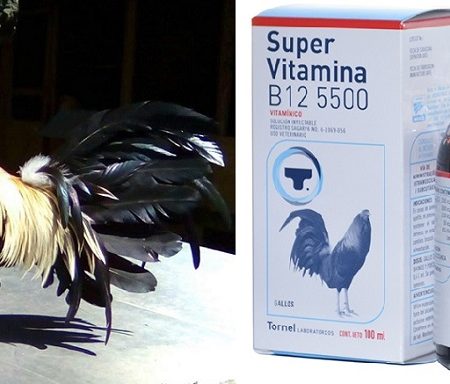 Top loại vitamin cho gà tốt nhất tại Daga388