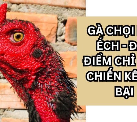 Gà chọi mắt ếch – Chiến Kê Bất Bại