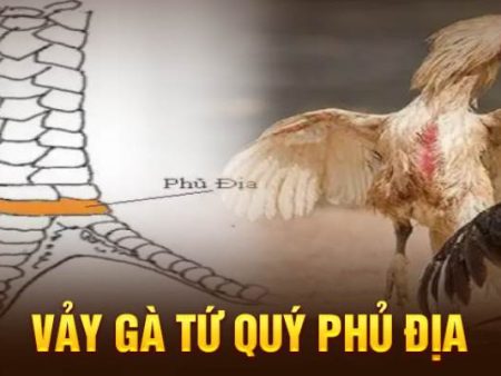 Vảy gà phủ địa là gì – Tìm hiểu về vảy gà đá siêu hiếm này